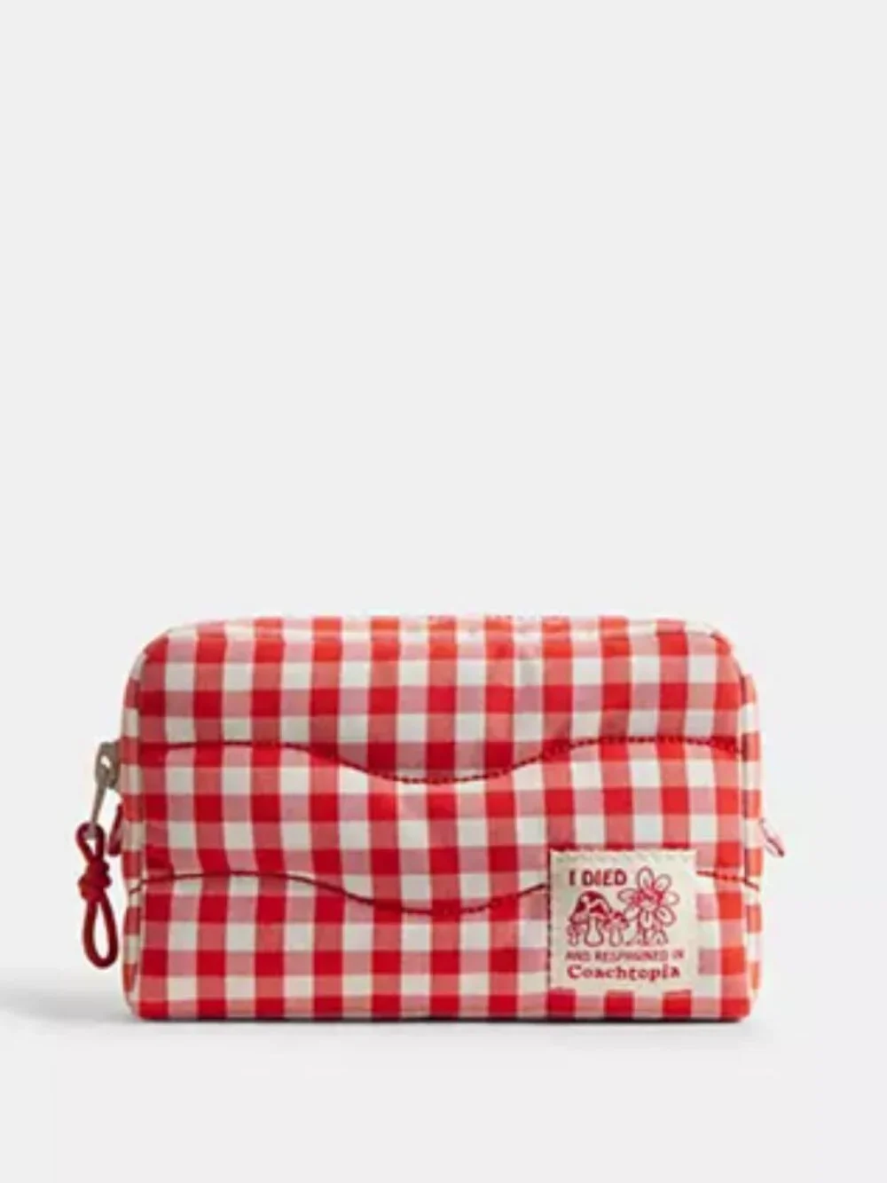 Coach Coachtopia  Loop Pouch In Recycled Polyester Gingham Red White